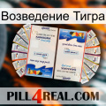 Возведение Тигра kamagra1